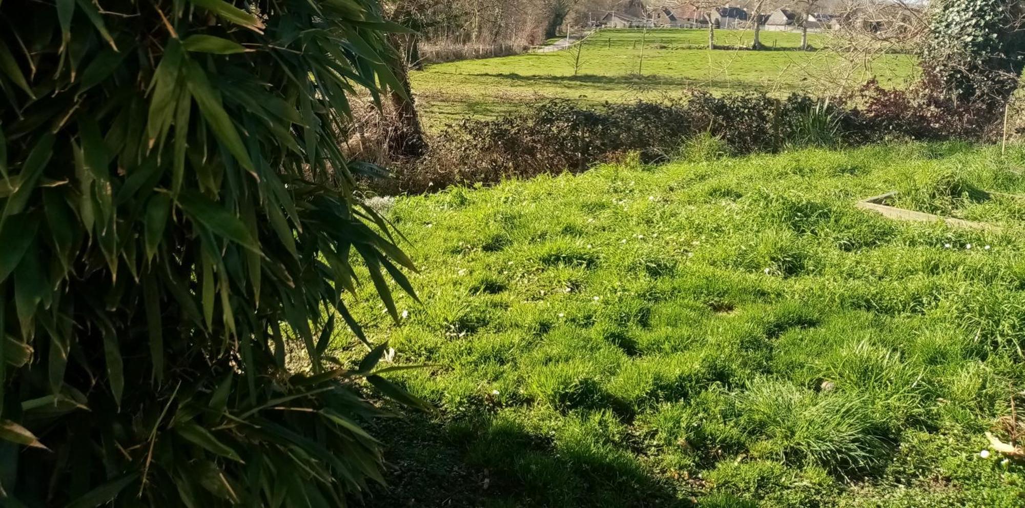 La Campagne Au Bord De La Mer, Chambre Chez L'Habitant Champeaux Eksteriør billede