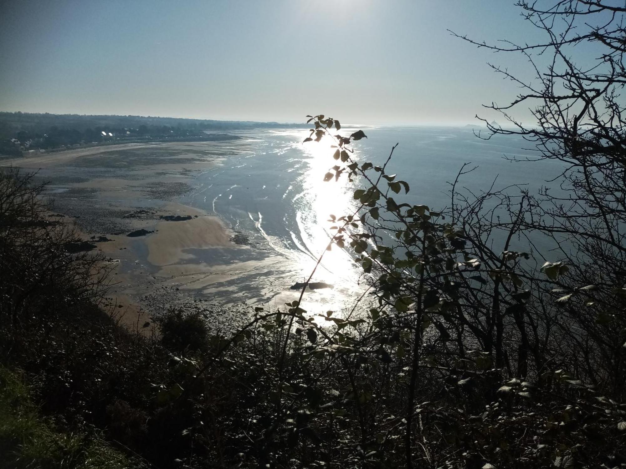 La Campagne Au Bord De La Mer, Chambre Chez L'Habitant Champeaux Eksteriør billede