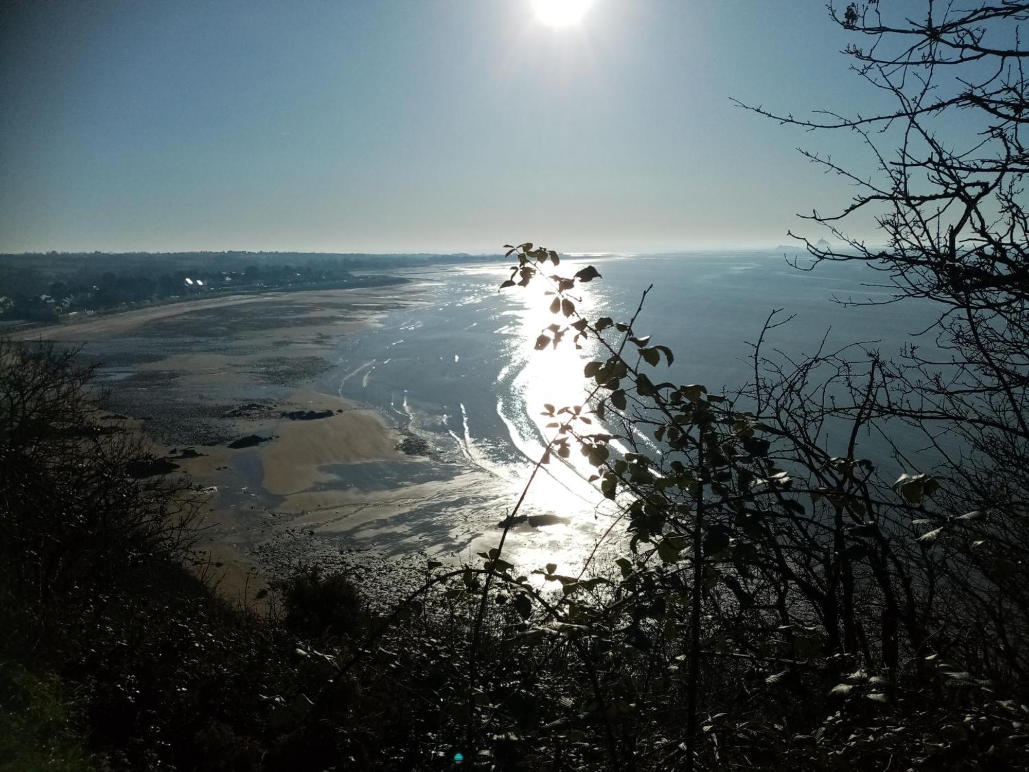 La Campagne Au Bord De La Mer, Chambre Chez L'Habitant Champeaux Eksteriør billede